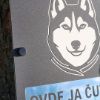 Čuvaj se psa Sombor