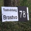 Tabla a kutyusok brojemjében